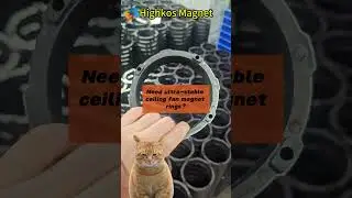 Ultra-stable ceiling fan magnet rings