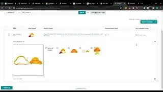 Reporting A copyright violation in amazon