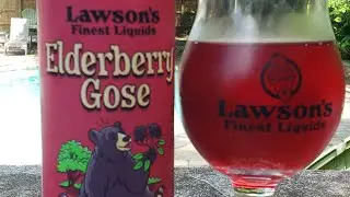 Beer Whenever// Lawson's Elderberry Gose #shorts #beerporn #eatdrinksavor