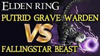 ELDEN RING BOSS VS. BOSS: Fallingstar Beast VS. Putrid Grave Warden Duelist!