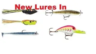 Storm 360GT Search  Bait Terminator Frogs Unboxing 5-12-17
