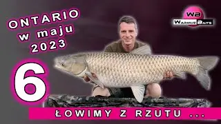 Ontario Lake - maj 2023 vol.6