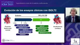 Diabetes e Insuficiencia Cardíaca