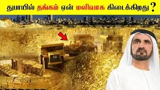 துபாய்க்கு இவ்வளவு தங்கம் எங்கிருந்து கிடைக்கிறது⁉️ | Why is Gold Cheaper in Dubai @ThinkBetter96 