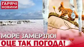 Морози здаються?! Прогноз на 5 лютого: де пройдуть снігопади та крижані дощі?