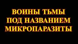 Почему микробы и бактерии порождение Люцифера и архонтов. Забор энергетики через болезни!