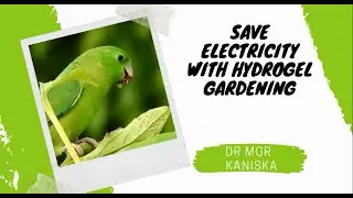 Experimented Hydro-gel Energy Saving  at #EarthDay2020 #green9 campaign G9ECC28 by Dr MGR  Kaniska