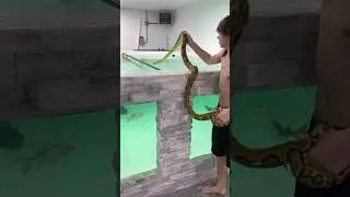 I Found a Massive Snake in my Aquarium&hellip;😳