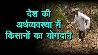 Agriculture Role in Indian Economy | Farmers Day | खेती का देश के विकास में महत्वपूर्ण योगदान