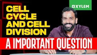 Cell Cycle And Cell Division - A Important Question...| Xylem Plus One NEET / JEE
