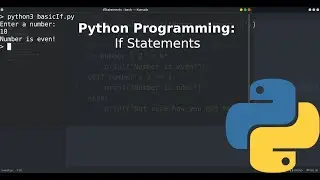 Python Programming Tutorial #3: Basic If Statements