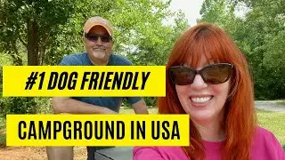 #1 Most Dog Friendly Campground In The USA - 4PawsKingdom Campground