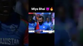 Wait For Miya Bhai 🔥| #Shami #cricket #cricketlover