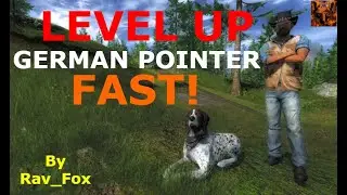 Level up German Pointer FAST! - TheHunter Classic
