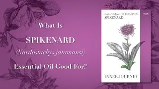 What is Spikenard Essential Oil Good For Video 1 of 2