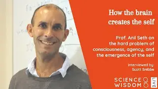 Prof. Anil Seth - How the Brain Creates the Self - Interview with Scott Snibbe