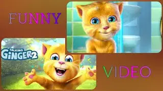 Talking Ginger funny #funny 🍇🍈🍉🍔 #talkingginger #gameplay #viral #cat videos #trending