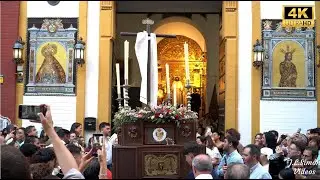 (4K) CRUZ DE MAYO DE LA HERMANDAD DE LOS PANADEROS 2024 | SEVILLA @HdadPanaderos #gloriassevilla24