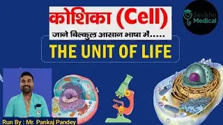 &ldquo;CELL ( कोशिका ) Explained Like Never Before 😱 | Must Watch for Students&rdquo;#GNM1STYEAR#humanbody 