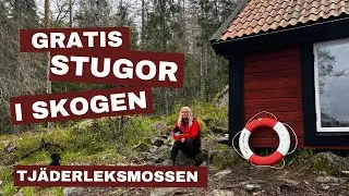 Gratis stugor i skogen - TJ&Auml;DERLEKSMOSSENS NATURRESERVAT