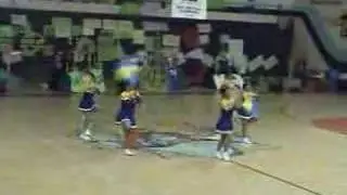 CIHS Short flag -1flag