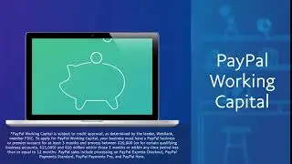 PayPal Business Account Features