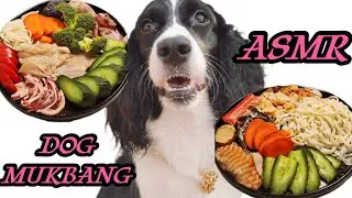Funny Dog Eating MUKBANG ASMR.Food temptation for dog.Two Episodes In A Row. #dogfood #asmr #mukbang