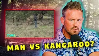 Man Goes Toe-to-Toe with Kangaroo to Save Dog in Epic Showdown!