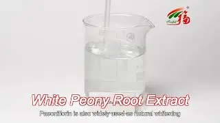 Plant Extract 10%~90% Paeoniflorin White Peony Root Extract For Cosmetics