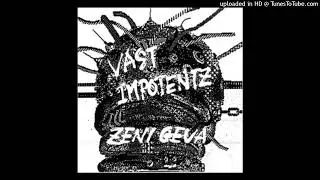 Zeni Geva - dead car sun crash (Vast Impotentz)