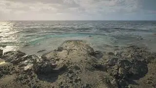 Desolate Island Shoreline - UE5