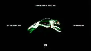 Club Calimari - Needed You