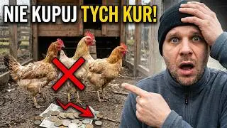 3 rasy kur, kt&oacute;re wyglądają pięknie, ale nie opłacają się hodować