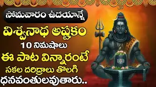 విశ్వనాథ అష్టకం పాట విన్నారంటే సకల దరిద్రాలు తొలగి ధనవంతులవుతారు.. | VISWANATHASHTAKAM | LORD SHIVA