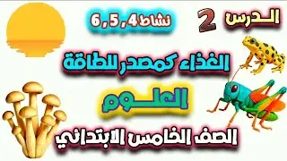 الدرس الثاني الغذاء كمصدر للطاقة شرح أنشطة 4 ، 5 ، 6 بطريقة بسيطة وسهلة | علوم خامسة ابتدائي ترم أول