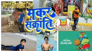 Makar Sankranti Vlog With Jeshan  South Indina Festival  Vlog 46 #Zwj