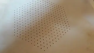 21*11dots sankranthi chukkala muggulu bhogi kundalurangoli pongal kolams danurmasam nelaganti geetal