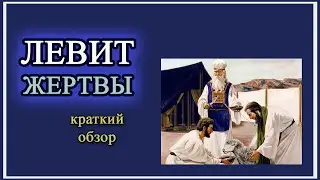 Левит. Жертвы. Краткий обзор