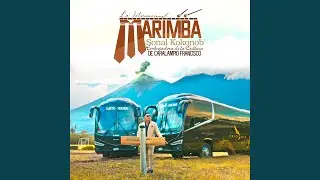 Viaje Sin Retorno