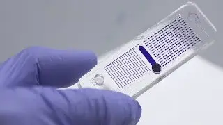 As Biotech Booms, So Do Bacteria