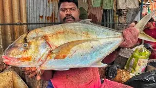 KASIMEDU SPEED SELVAM | HUGE DOT TRAVELLY FISH CUTTING VIDEO | 4K VIDEO | KM FISH CUTTING