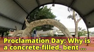 Proclamation Day: Why is a concrete-filled, bent old gum tree significant in SA?