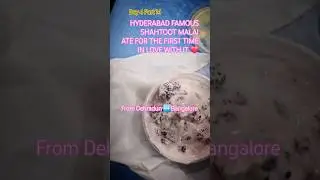 First Time Trying Shahtoot Malai in Hyderabad🤤 HyderabadEats# ShahtootMalai #FirstBiteReactions