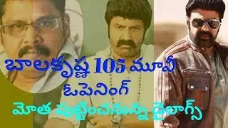 Balakrishna 105 Movie Openings | Balakrishna Dialogues | Film News