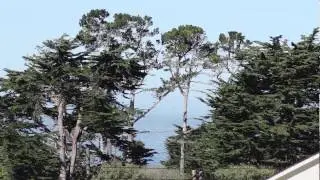 Moss Beach ocean view (camera TEST)