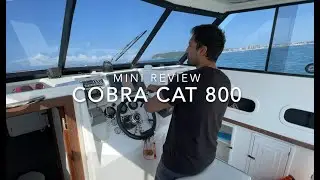 Cobra Cat 800, 2 x Evinrude 200hp, Ski-boat, Review