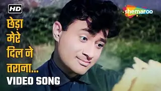 Chheda Mere Dil Ne Tarana Song | Dev Anand Classic Hit | Old Bollywood Songs
