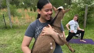Nature Linc Environmental Leadership Program
