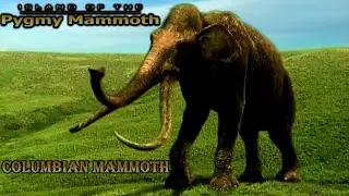 island of the pygmy Mammoth Columbian mammoth screen time