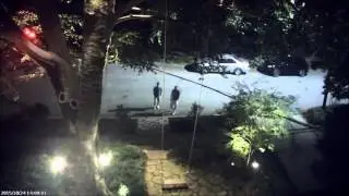 Surveillance Video of Pumpkin Thieves on 10/24/2015 at 2:00AM
